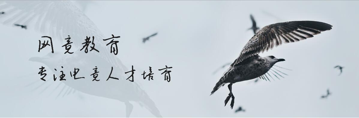 QQ截图20190307104151.jpg